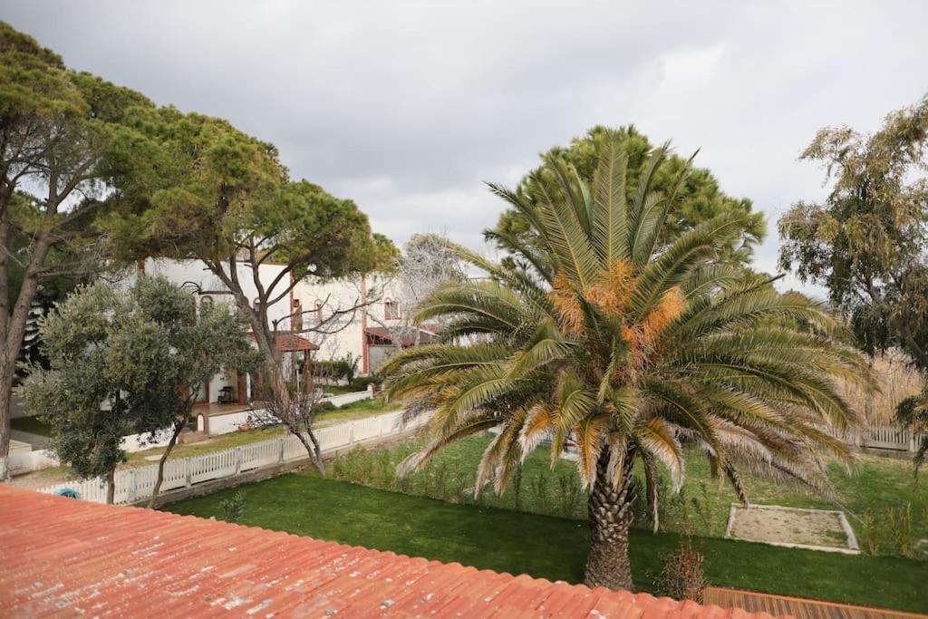 Yfn Urla Seaside House Βίλα Balikliova Εξωτερικό φωτογραφία